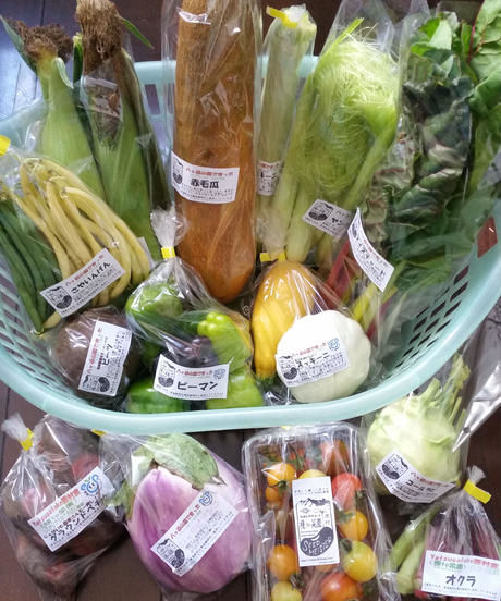 種to菜園《SEED MEISTERの野菜達》