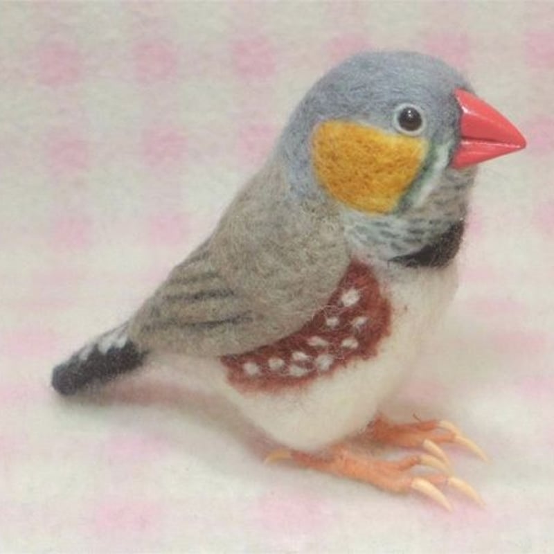 受注作成品】 キンカチョウ（錦花鳥、錦華鳥 ）Zebra finch ほぼライフ