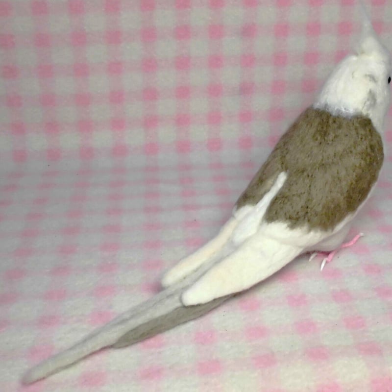 受注作成品】 オカメインコ WFパイド☆ホワイトフェイス 羊毛