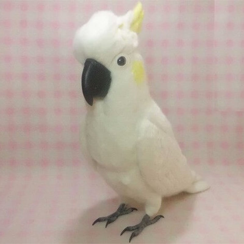 ライフサイズ 1/1サイズ：コバタン(コキサカオウム・キバタンに変更