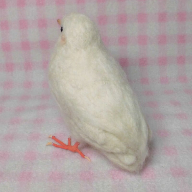 羊毛の小鳥：ライフサイズ（1/1サイズ）1羽：ヒメウズラ 「うちの子