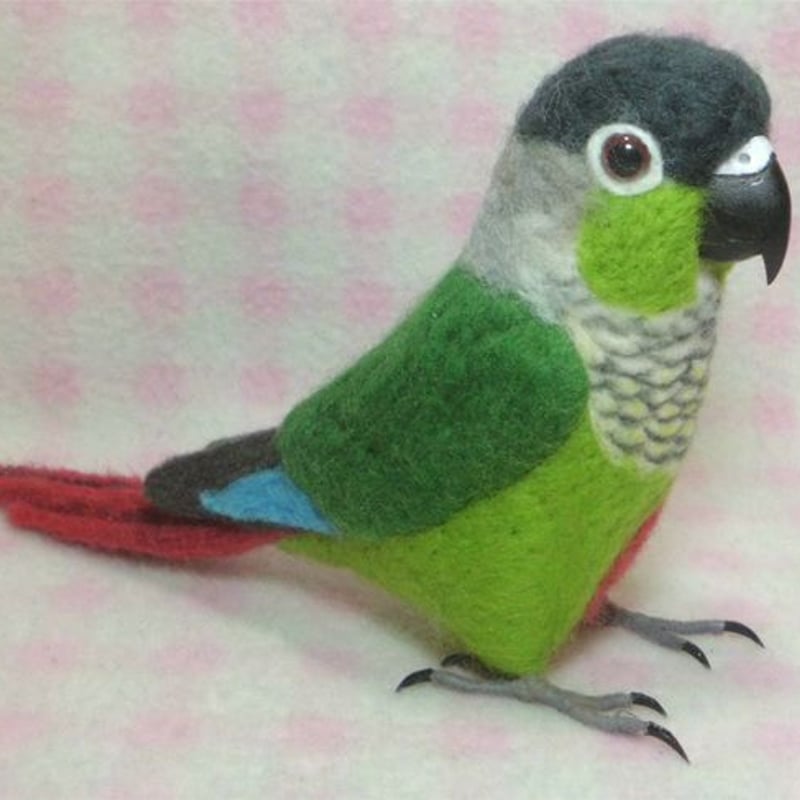 受注作成品】 ホオミドリウロコインコ 羊毛フィギュア リアルサイズ