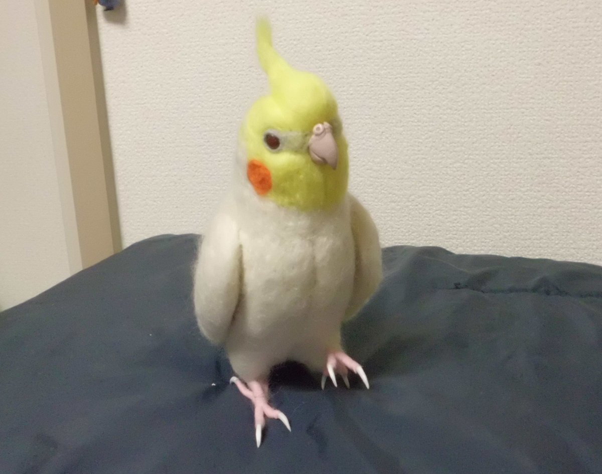 受注作成品】はじめの一歩♪ オカメインコ ルチノ－（濃赤目）羊毛