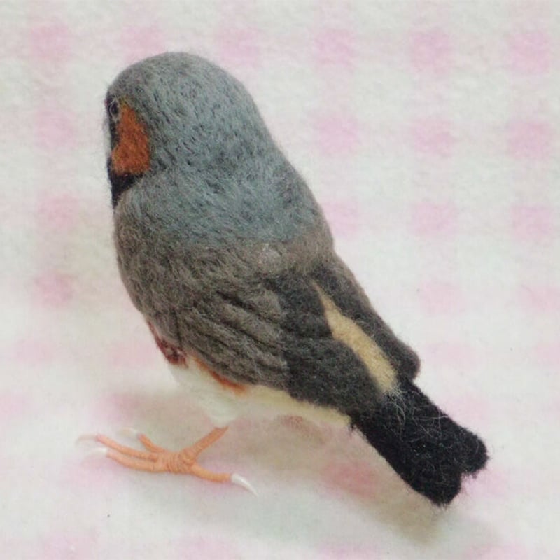 受注作成品】 キンカチョウ（錦花鳥、錦華鳥 ）Zebra finch ライフサイズ リア...