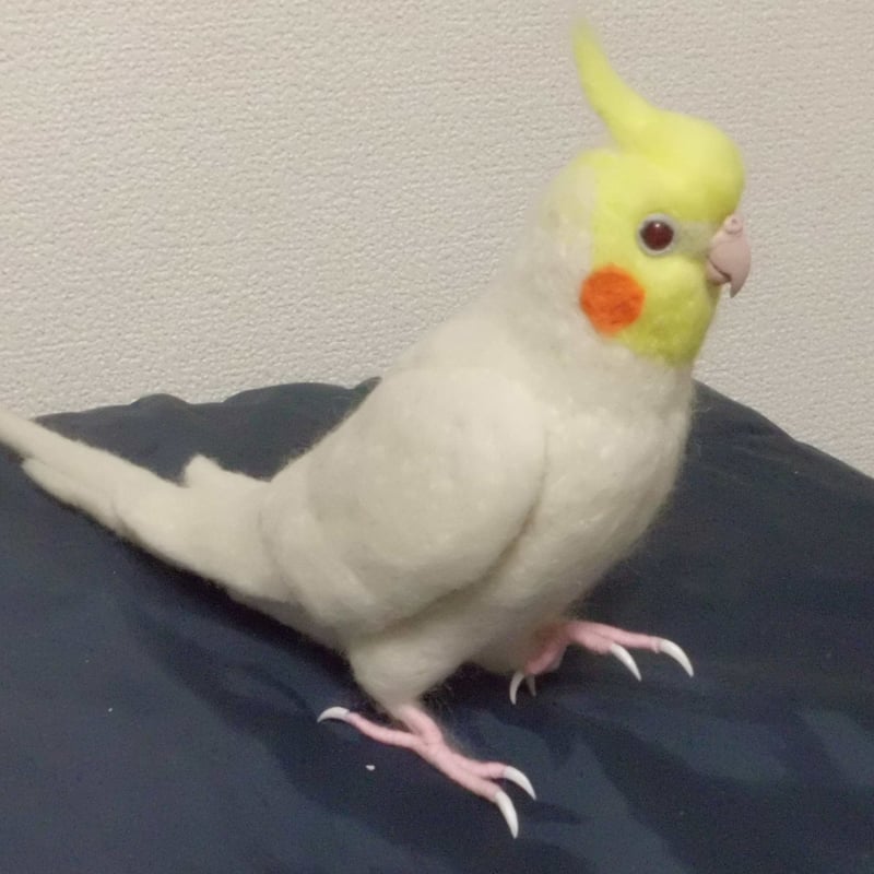 羊毛フェルト オカメインコ ルチノー 受注作成品】はじめの一歩♪ オカメインコ ルチノ-(濃赤目