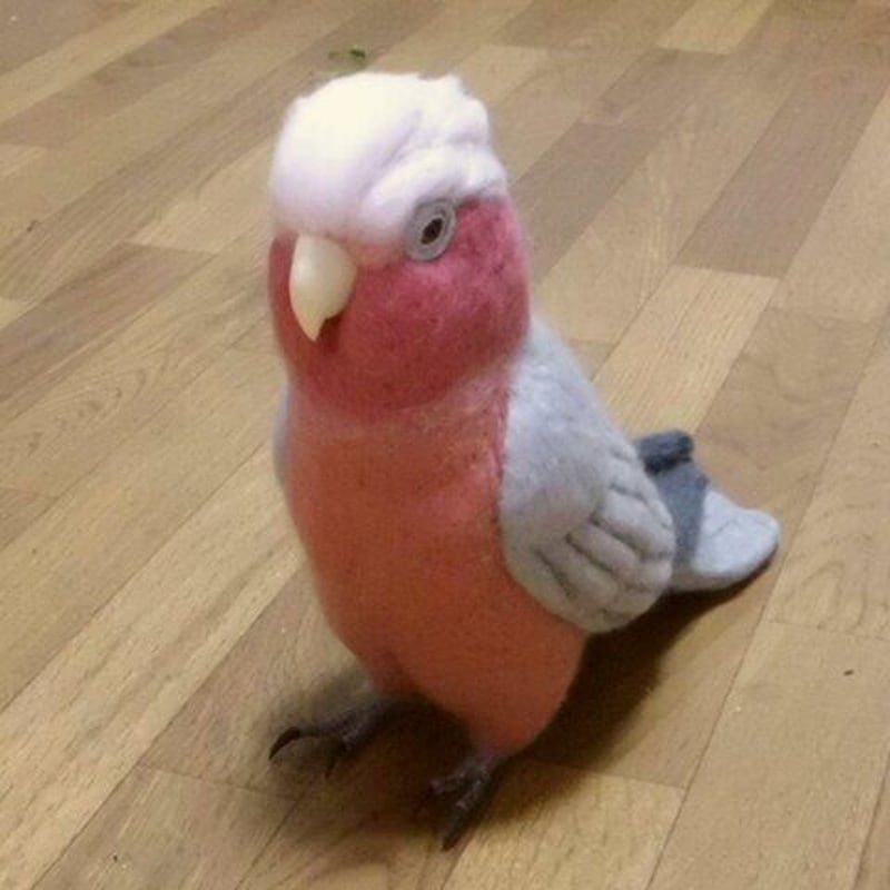 ライフサイズ 1/1サイズ：モモイロインコ 受注作成 羊毛フェルト 鳥