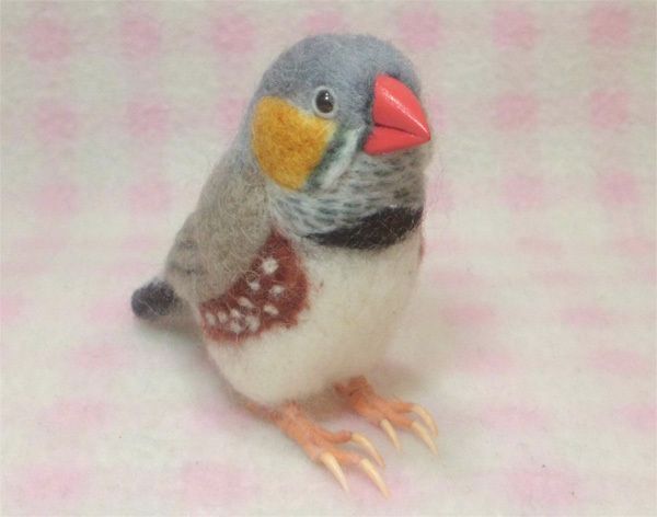 受注作成品】 キンカチョウ（錦花鳥、錦華鳥 ）Zebra finch ほぼライフ