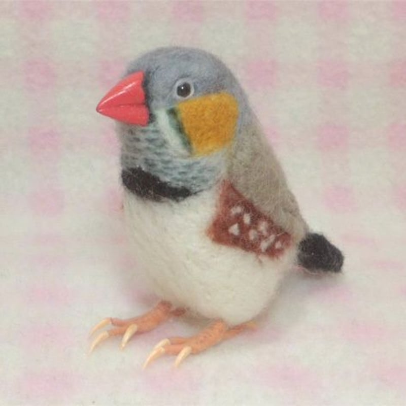 受注作成品】 キンカチョウ（錦花鳥、錦華鳥 ）Zebra finch リアル