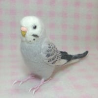 ライフサイズ 1/1サイズ：モモイロインコ 受注作成 羊毛フェルト 鳥