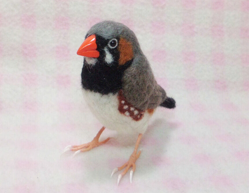キンカチョウ☆錦華鳥☆実物大☆4点セット original