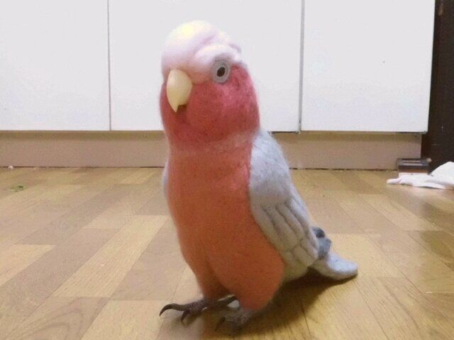 ライフサイズ 1/1サイズ：モモイロインコ 受注作成 羊毛フェルト 鳥