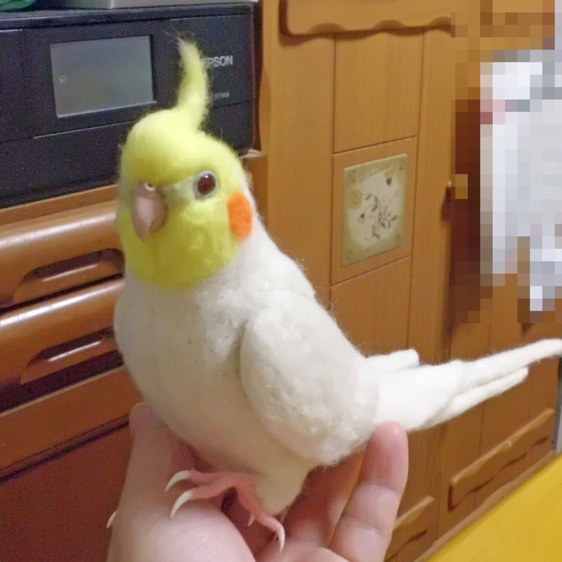 受注作成品】はじめの一歩♪ オカメインコ ルチノ－（濃赤目