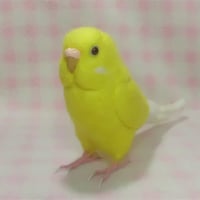 【受注作成品】セキセイインコ    ルチノー(濃赤目）   羊毛フィギュア  リアルサイズ♪ 羊毛フェルト