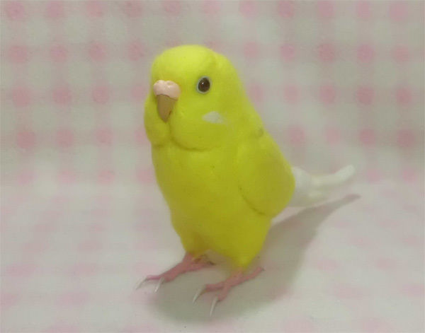 ゆかり様　華様　確認用　セキセイインコルチノーの置物　羊毛フェルト【確認用】 fit=scale-down,w=1200