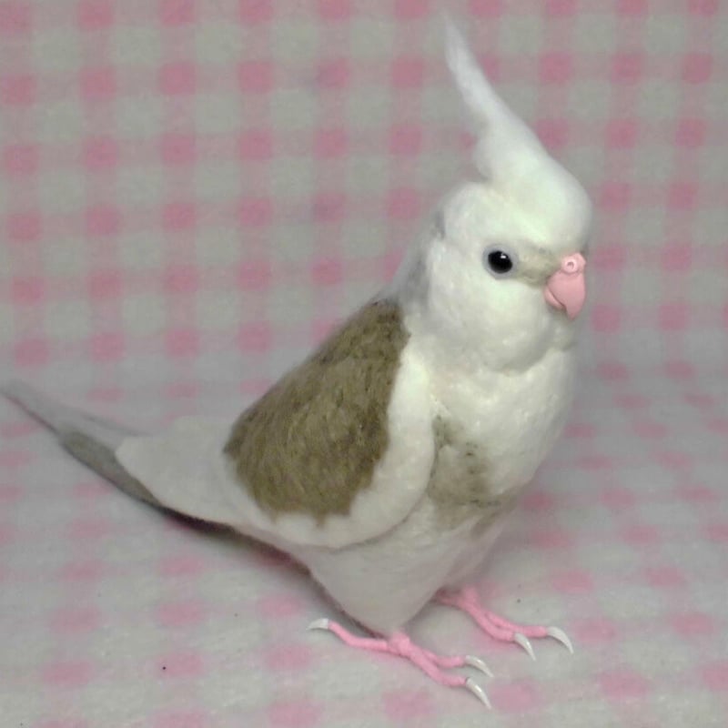 受注作成品】 オカメインコ WFパイド☆ホワイトフェイス 羊毛