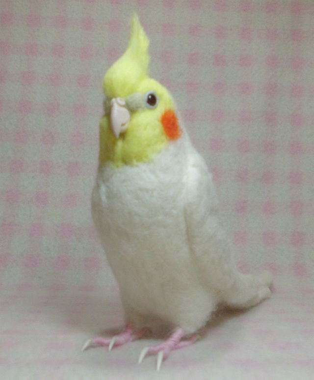 羊毛フェルト オカメインコ ルチノー fit=scale-down,w=1200