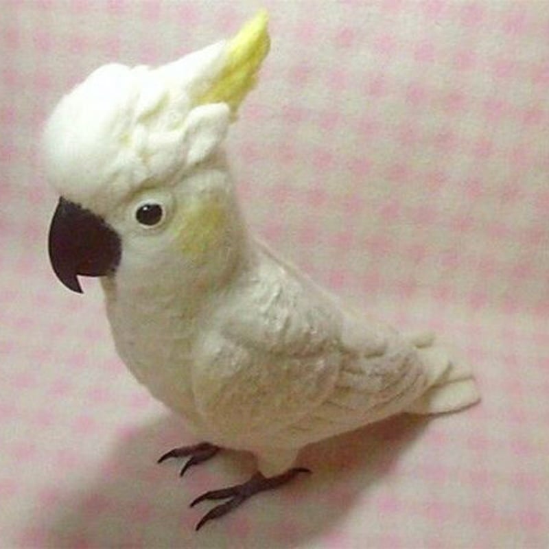 ライフサイズ 1/1サイズ：コバタン(コキサカオウム・キバタンに変更