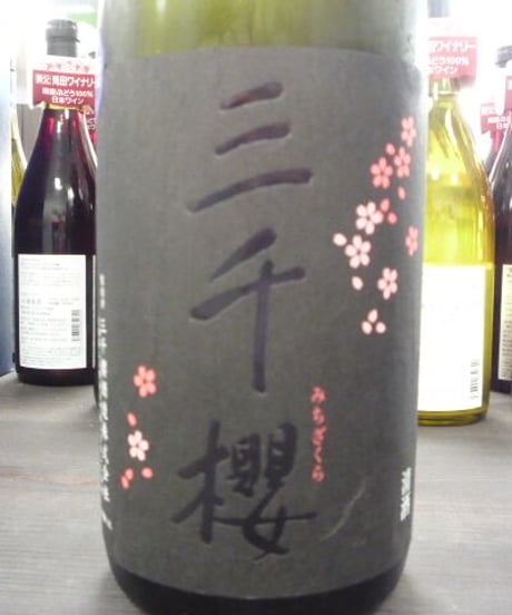 三千櫻　九頭竜55　生原酒