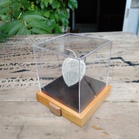 透かしほおずきのライト