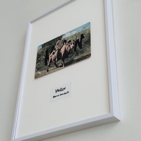 INTERVENTIONS #016 / POSTCARD