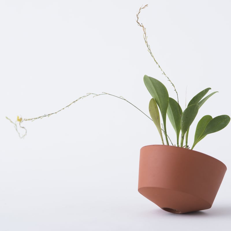 PLACERWORKSHOP ORCHID POT (S) | placer-workshop