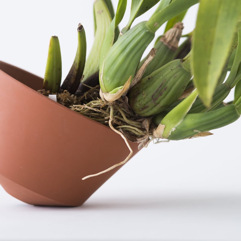 PLACERWORKSHOP ORCHID POT (L) | placer-workshop