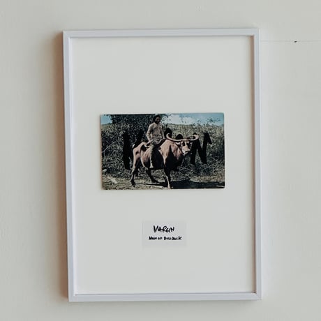INTERVENTIONS #016 / POSTCARD
