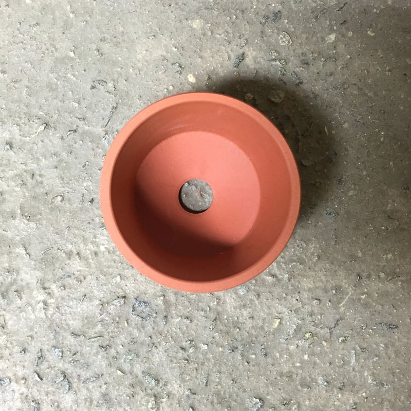 PLACERWORKSHOP ORCHID POT (S) | placer-workshop