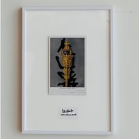INTERVENTIONS #018 / POSTCARD