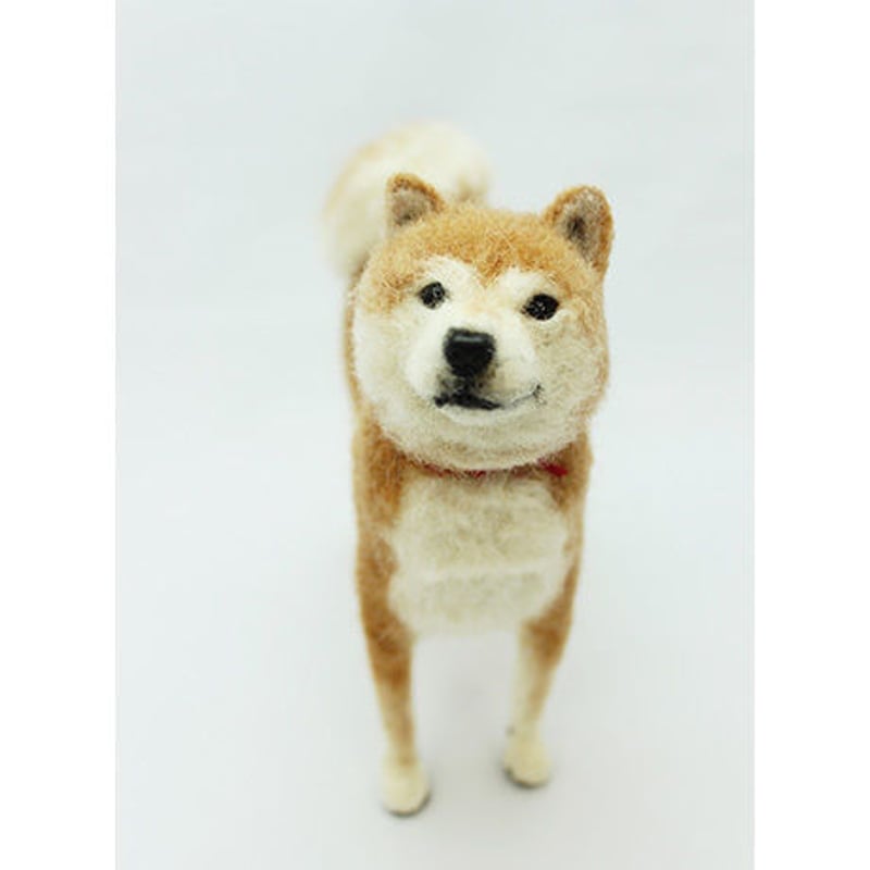 ウール―シュシュ 羊毛フェルトで作る「私だけのワンちゃん ウール―シュシュ 羊毛フェルトで作る「私だけのワンちゃん