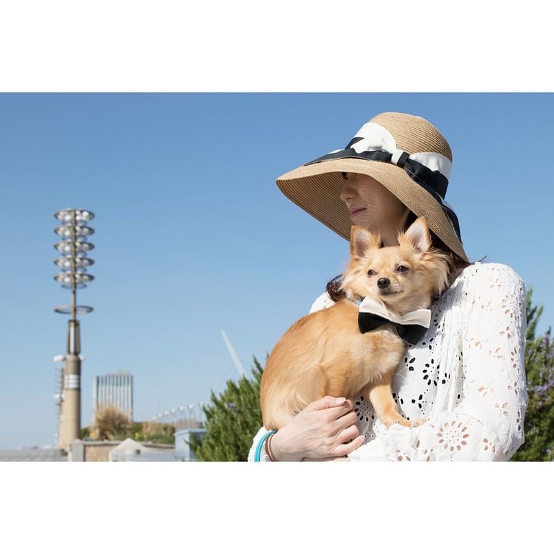 犬の蝶ネクタイ（ブラック×ホワイト） | INUTO