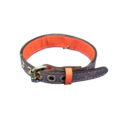 GNUOYP Collar（S・SM）