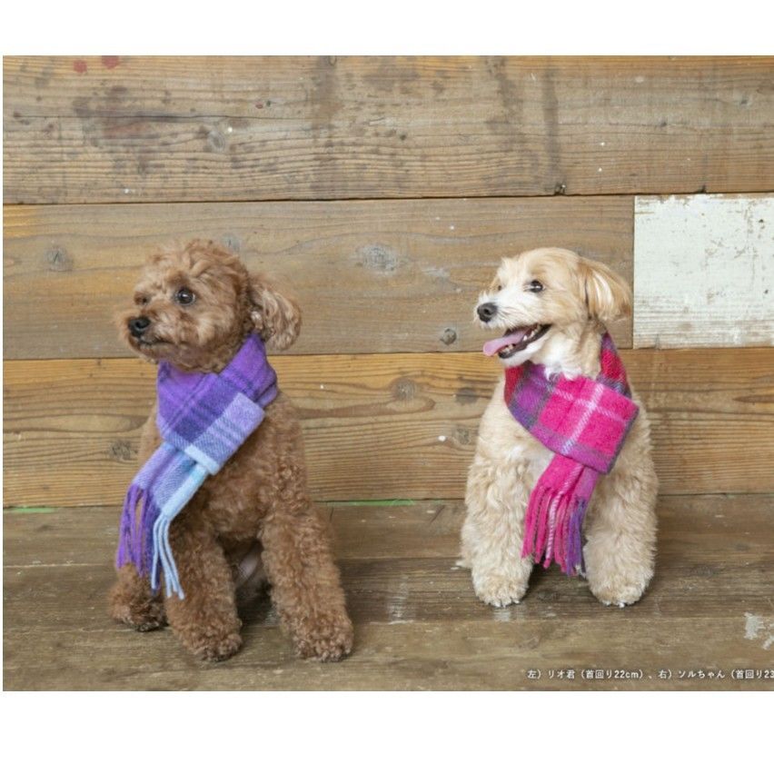 マフラー 犬用 fit=scale-down,w=1200