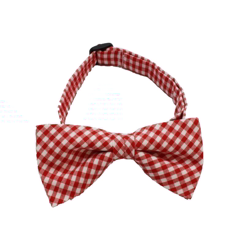 犬の蝶ネクタイ（ギンガムチェック） | INUTO