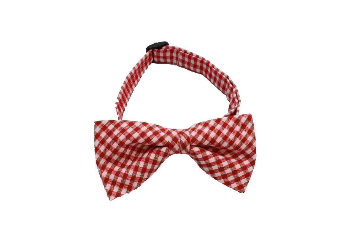 犬の蝶ネクタイ（ギンガムチェック） | INUTO