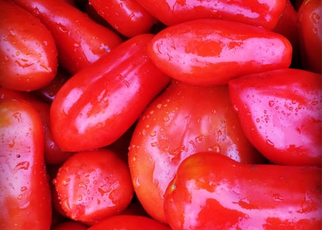 有機トマトソース （完熟サンマルツァーノ100%使用）300g