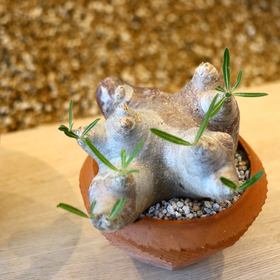 648d4913f0358e002e128414