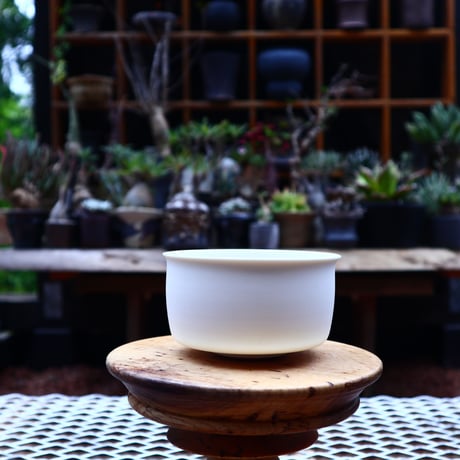 Kazuhiro  Arima〝silk″ ／ humanity pot       no.573