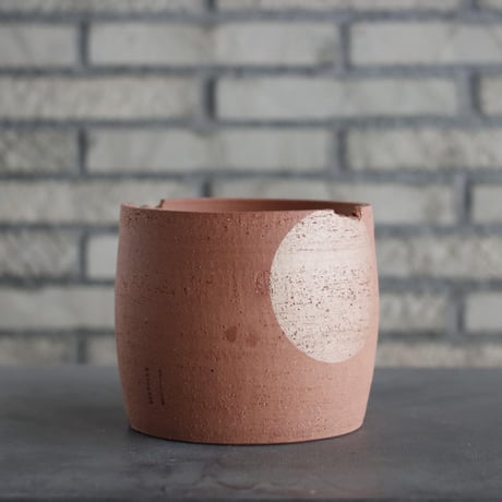 CATEGORY 5号鉢 | 芽の巣山