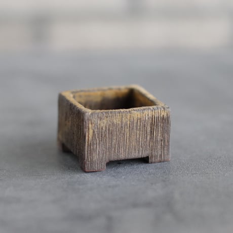 CATEGORY 1.5号鉢 | 芽の巣山