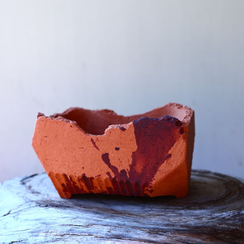 N/OH 澪標 紅富士 SSサイズ 鉢 陶器鉢/サボテン 植物 【公式通販】