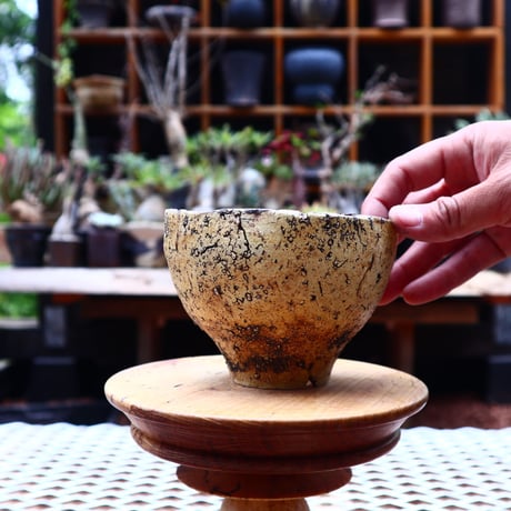 Kaori  Ono 〝 gaia″   /   humanity pot       no.527