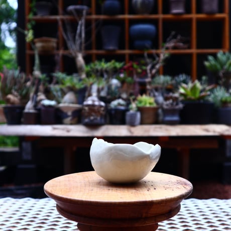 Mie  Maeda 〝blanco″   /   humanity pot       no.533