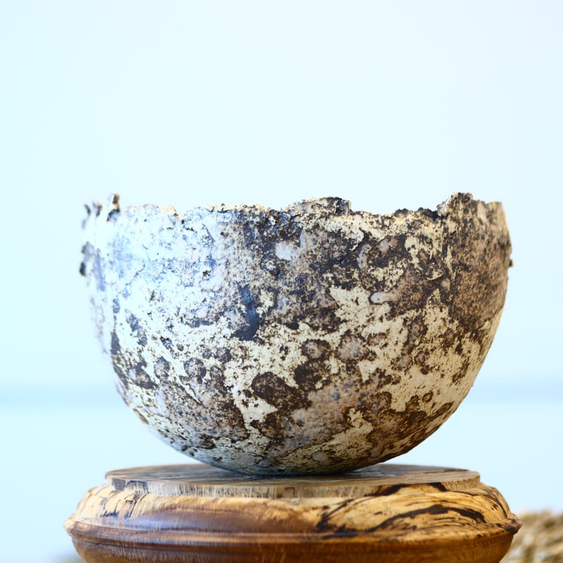 たけろうポット/ チギリ / シロサビ / LL no.414-27 | 芽の巣山