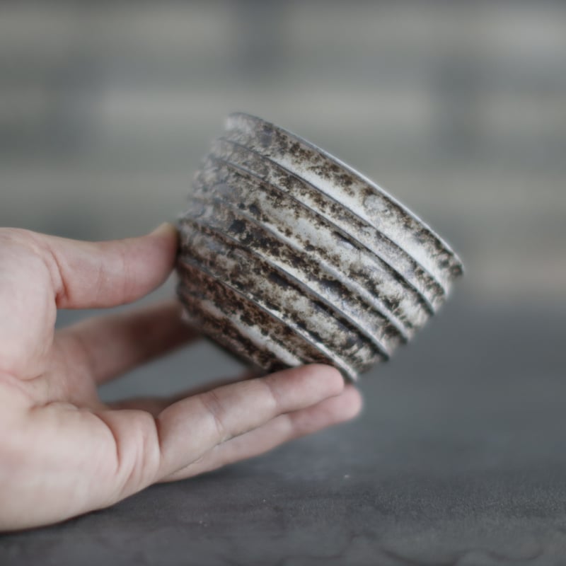 TAKERO POT / Shirosabi (3号) no.803-19 | 芽の巣山