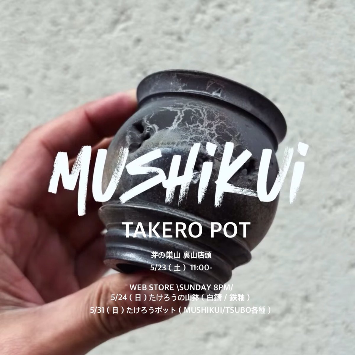 TAKERO POT / MUSHIKUI/YAMABACHI/入荷のご案内 | 芽の巣山