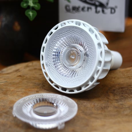 CATEGORY Helios Green LED HG24 | 芽の巣山