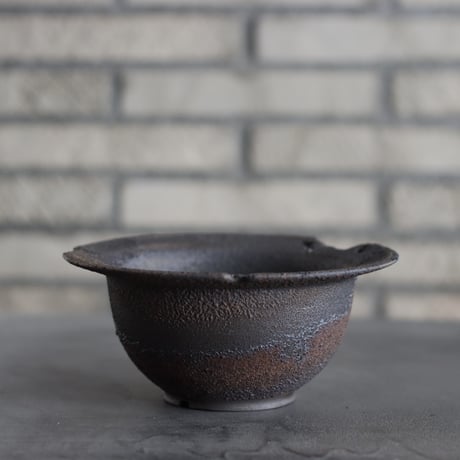 たけろうポット / 大鉢 / シロサビ+ミドリ【イベント限定鉢】(A) CATEGORY たけろうポット | 芽の巣山