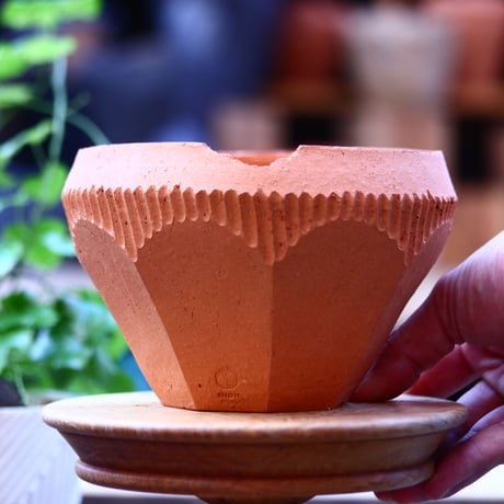 N/OH   INORI / M / persimmon   no.1219/15