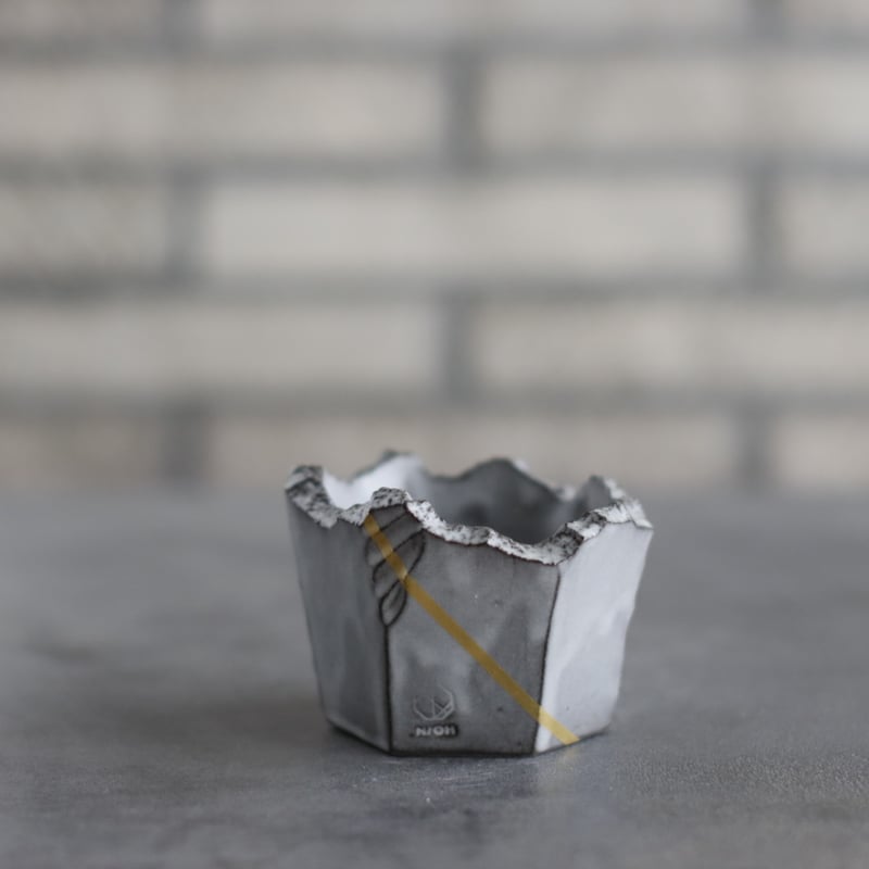 N/OH / 澪標 / 紅富士 ＋ Line / XS (2.5号) no.1109-427